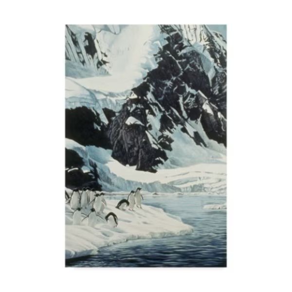 Ron Parker 'Penguins' Canvas Art, 30x47, Trademark Fine Art, Mfr#: ALI32409-C3047GG